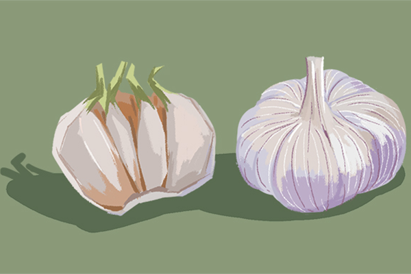 ����������ɫ��ԭ����ʲô ����������ɫ��ԭ��